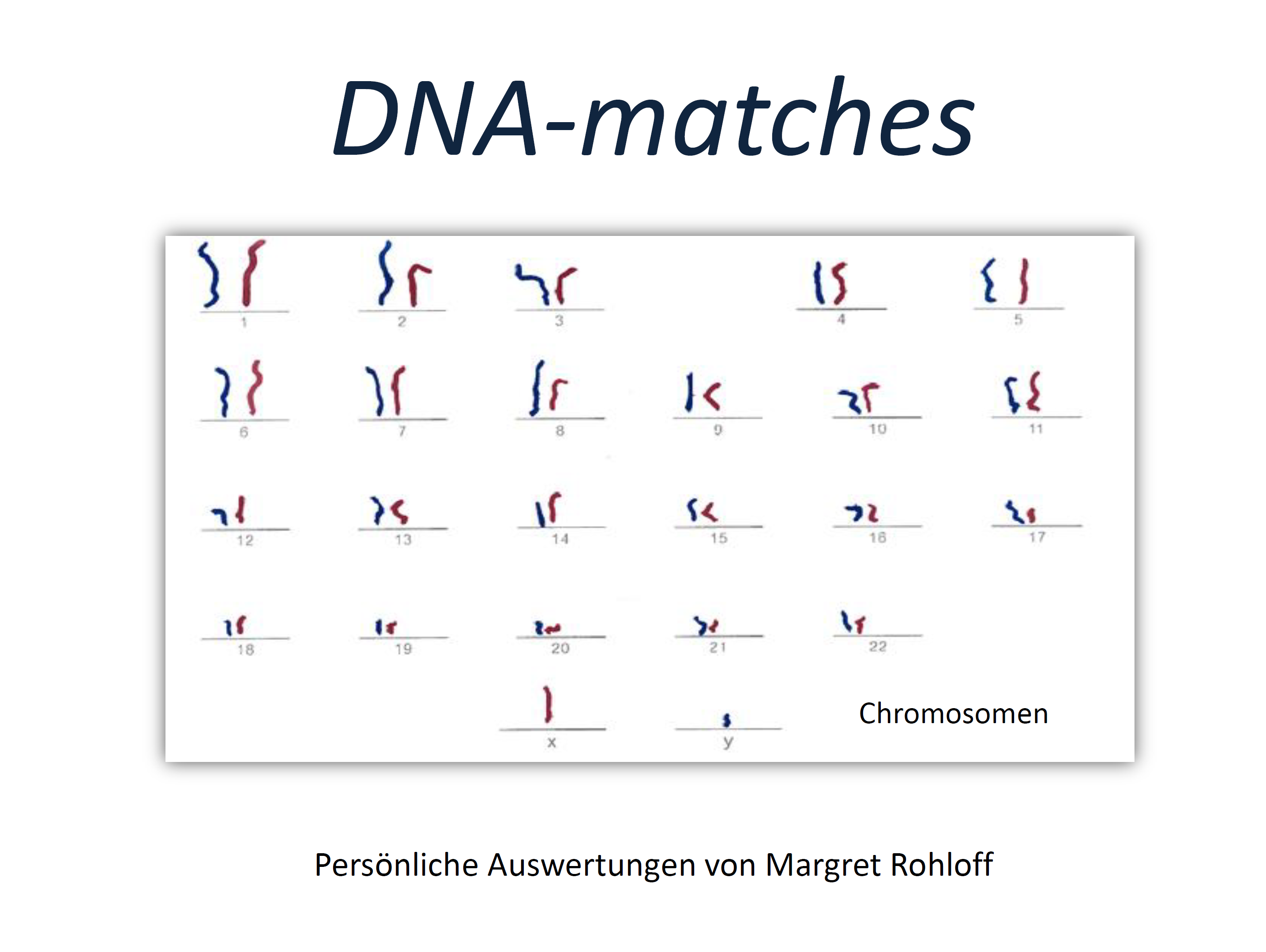 Rohloff (2020), DNA-matches - Beispiele und Leerformulare