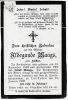 Totenzettel Sieben, Aldegunde verheiratete Maags Tod 1902